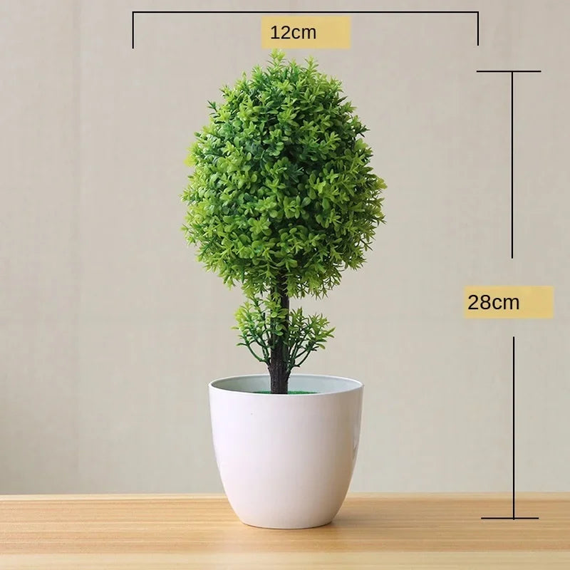 EverGreen Mini Bonsai Tree