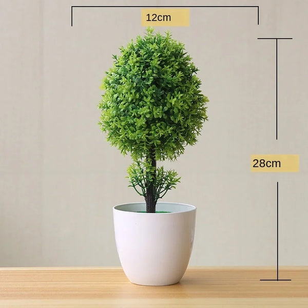 EverGreen Mini Bonsai Tree