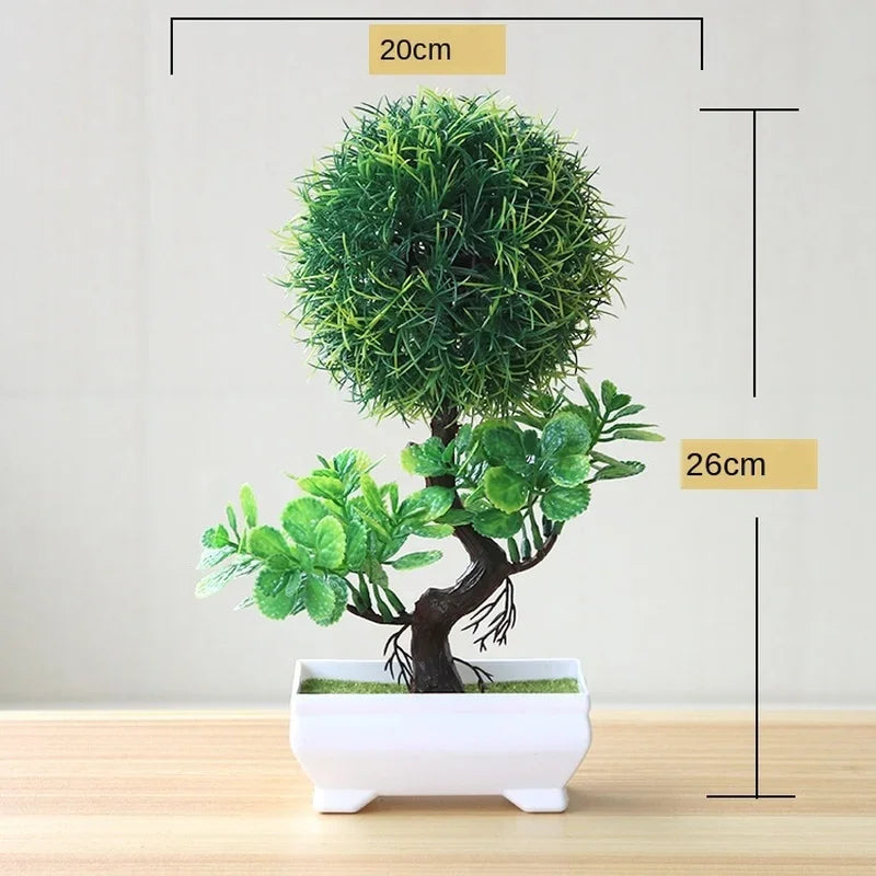 EverGreen Mini Bonsai Tree
