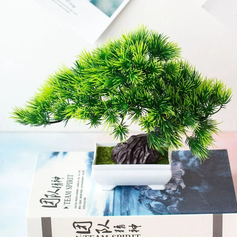 EverGreen Mini Bonsai Tree