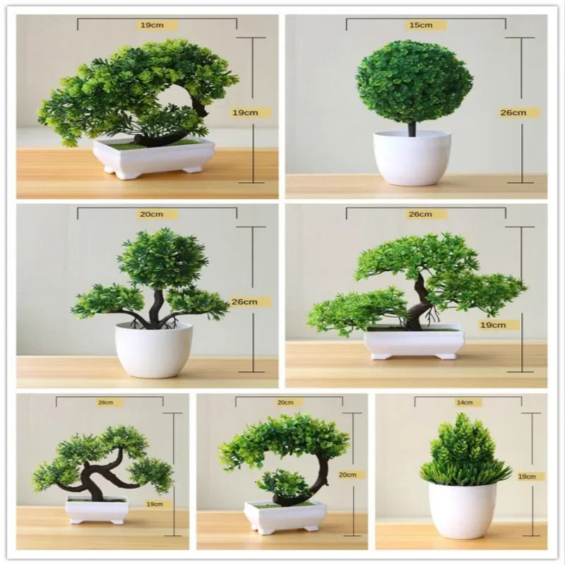 EverGreen Mini Bonsai Tree
